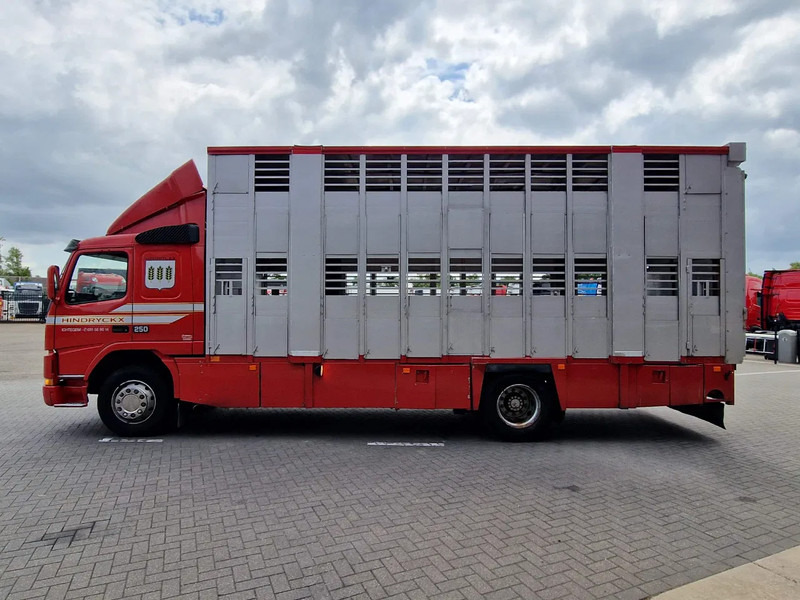 Volvo FM 250 4x- Livestock 2 deck - Lifting floors - Loadlift - Manual gearbox - Camión transporte de ganado: foto 4 Volvo FM 250 4x- Livestock 2 deck - Lifting floors - Loadlift - Manual gearbox - Camión transporte de ganado: foto 4