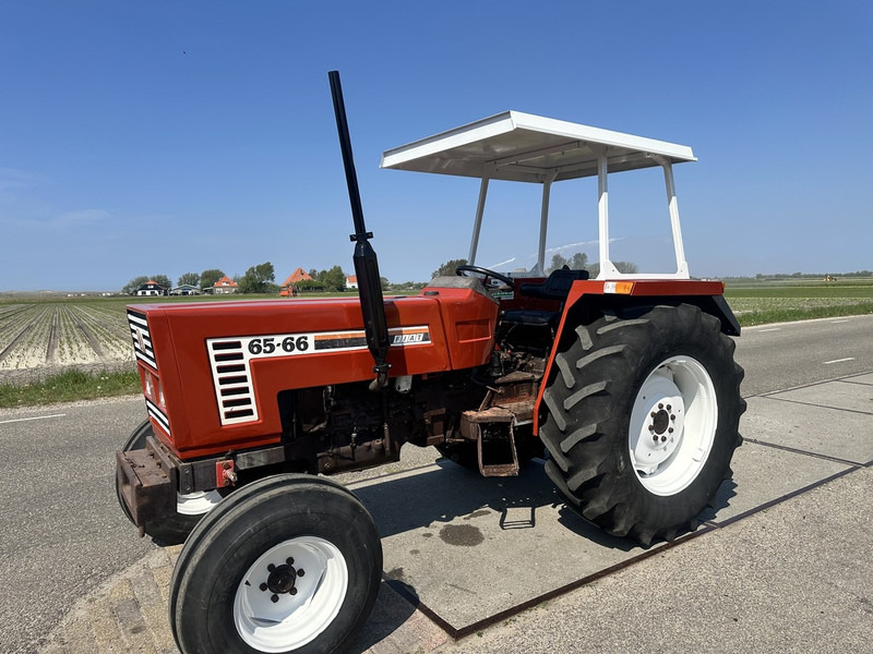 Fiat 65-66 - Tractor: foto 1 Fiat 65-66 - Tractor: foto 1