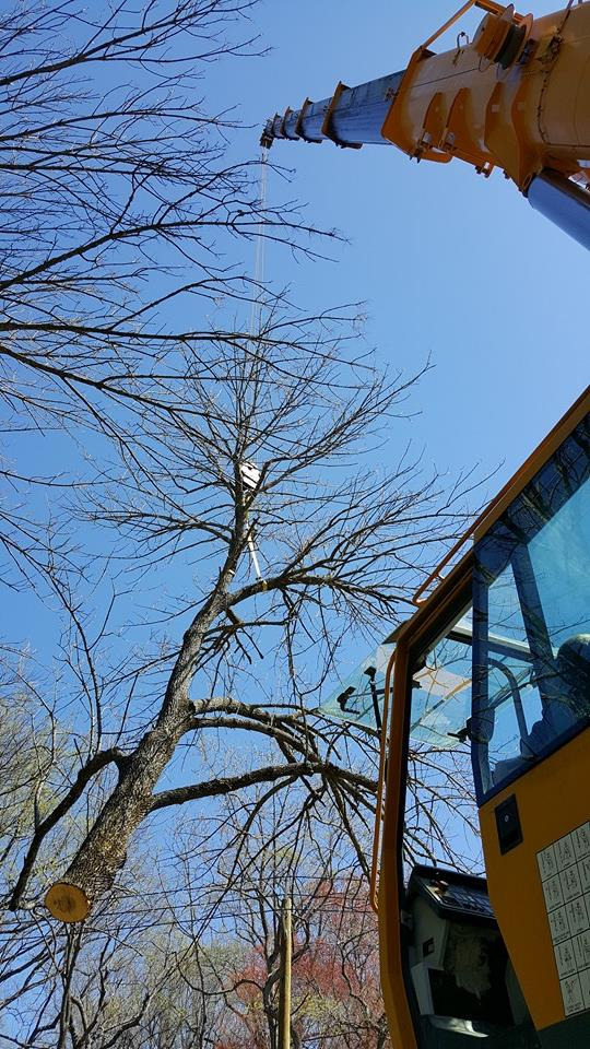 Liebherr LTM 1120-1 - Autogrúa: foto 4 Liebherr LTM 1120-1 - Autogrúa: foto 4