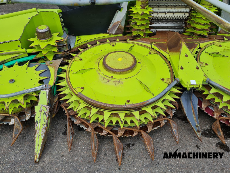 Cabezal de maíz para transporte de alimentos Claas Orbis 600SD rotary corn header: foto 9