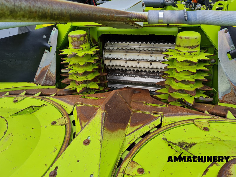 Cabezal de maíz para transporte de alimentos Claas Orbis 600SD rotary corn header: foto 8