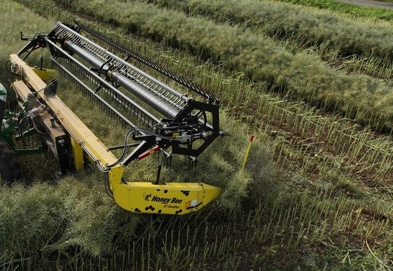 Honey Bee ST 25 - BANDSCHWADMÄHWERK - Cabezal de grano: foto 3 Honey Bee ST 25 - BANDSCHWADMÄHWERK - Cabezal de grano: foto 3