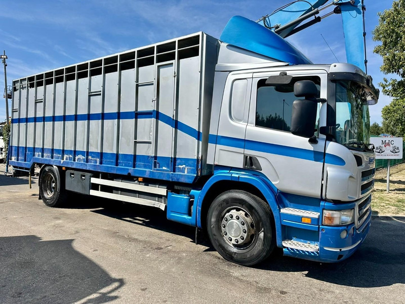 Scania P310 4x2 LIVESTOCK / VEEWAGEN / TIERTRANSPORT / BETAILLERE - ALU BOX 7m - MANUAL - A/C - BELGIAN TRUCK - Camión transporte de ganado: foto 1 Scania P310 4x2 LIVESTOCK / VEEWAGEN / TIERTRANSPORT / BETAILLERE - ALU BOX 7m - MANUAL - A/C - BELGIAN TRUCK - Camión transporte de ganado: foto 1