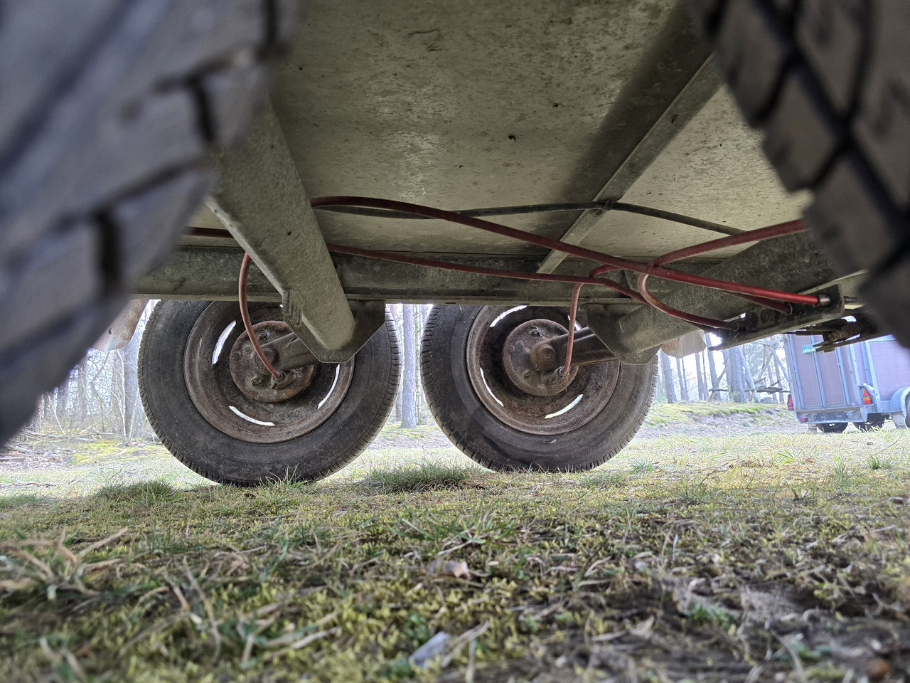 PONGRATZ PA 310 T - Remolque transporte de ganado: foto 4 PONGRATZ PA 310 T - Remolque transporte de ganado: foto 4