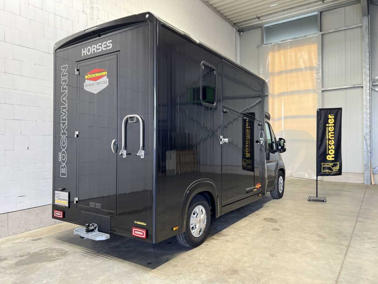 Leasing de Fiat Böckmann Compact Stall LKW Fiat Böckmann Compact Stall LKW: foto 14