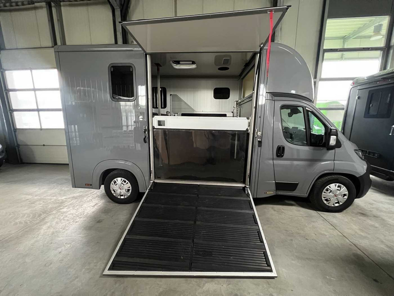 Fiat Compact Basic LKW - Camión para caballos: foto 1 Fiat Compact Basic LKW - Camión para caballos: foto 1