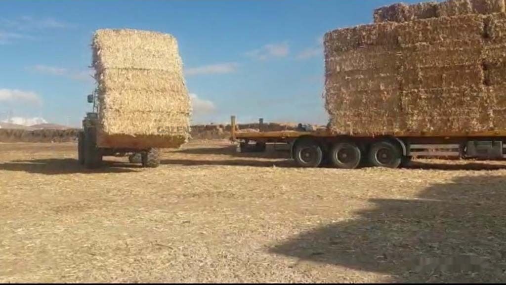 Horquillas para Maquinaria agrícola nuevo Galen Loader Bale Spear Attachment: foto 7