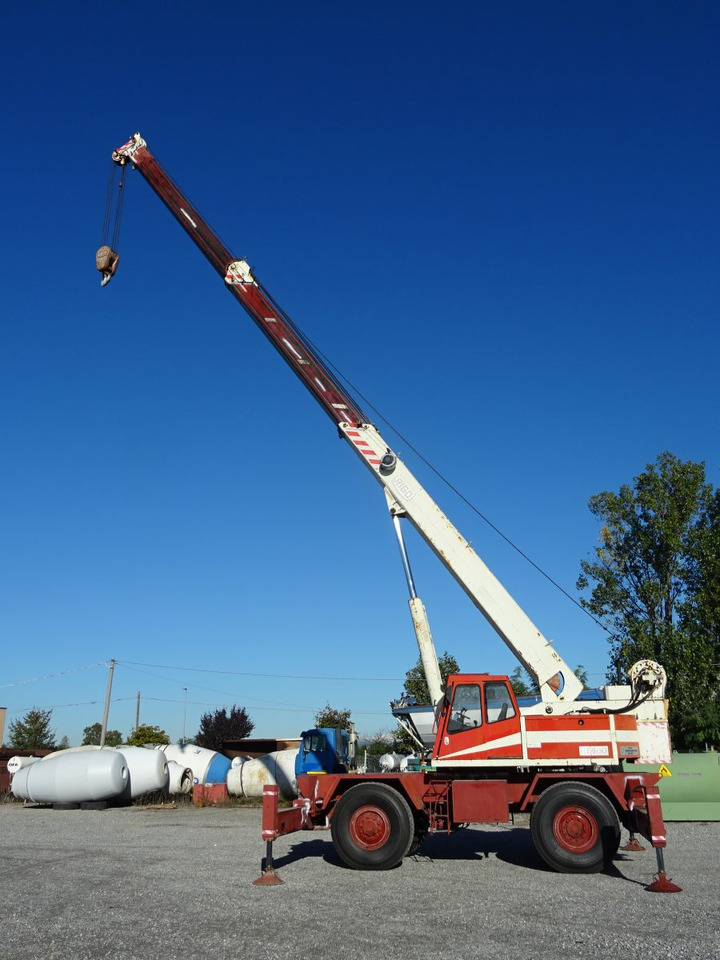 Grúa para terrenos difíciles RIGO RT 400: foto 10