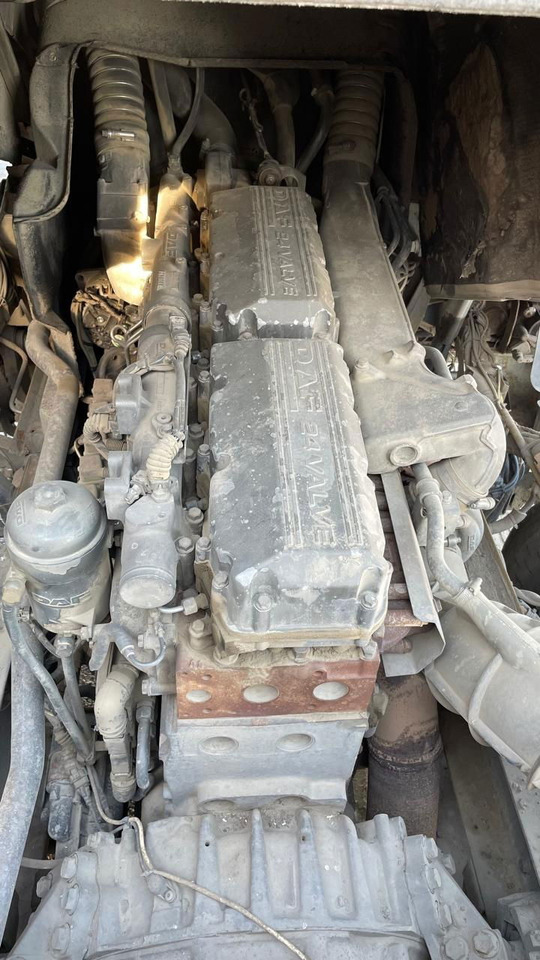 Cabeza tractora DAF XF 95.430 Tractor unit: foto 10