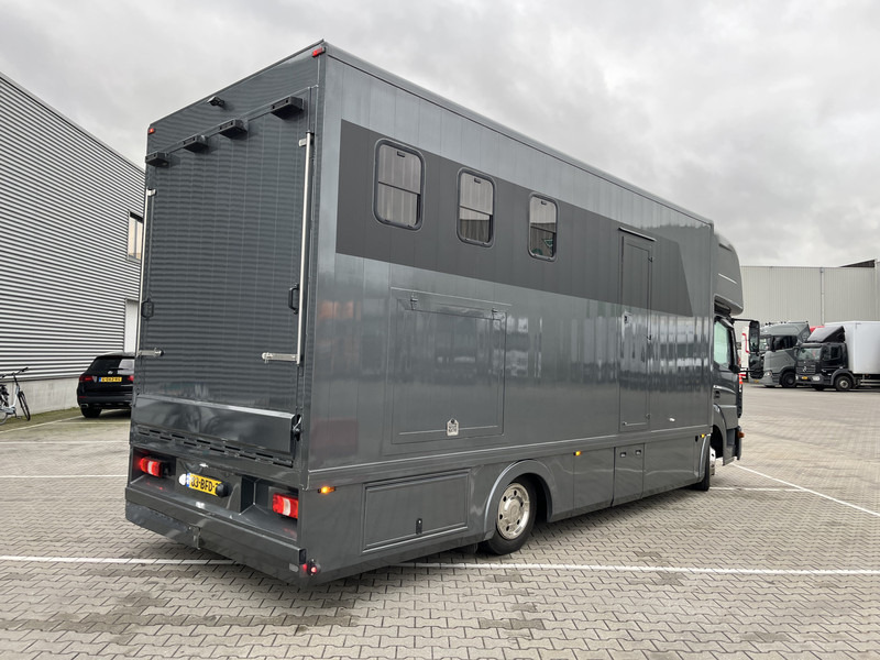 Mercedes-Benz Atego 816 / Horse Truck - 3 Horses / Camper / NL Truck - Remolque para caballos: foto 2 Mercedes-Benz Atego 816 / Horse Truck - 3 Horses / Camper / NL Truck - Remolque para caballos: foto 2