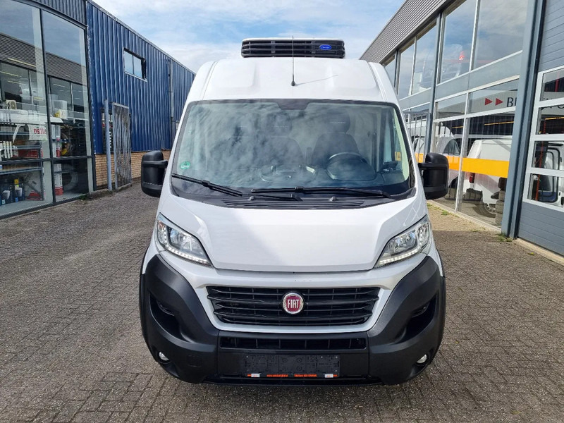 Fiat Ducato Maxi 2.3 JTD Koelwagen Multitemp Xarios 350MT ST 230V (2) - Furgoneta frigorifica: foto 3 Fiat Ducato Maxi 2.3 JTD Koelwagen Multitemp Xarios 350MT ST 230V (2) - Furgoneta frigorifica: foto 3