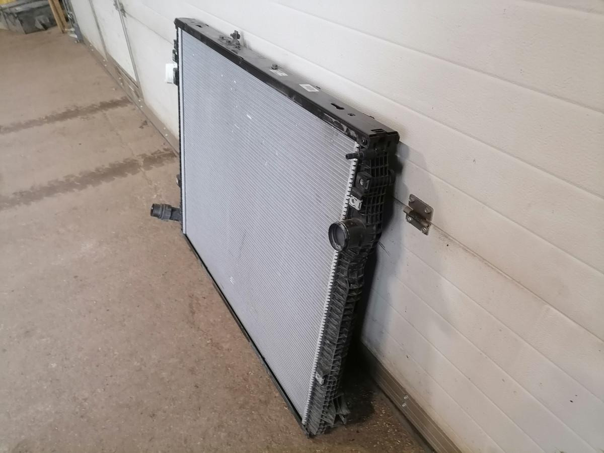 Scania Cooling radiator 3158317 - Radiador para Camión: foto 4 Scania Cooling radiator 3158317 - Radiador para Camión: foto 4