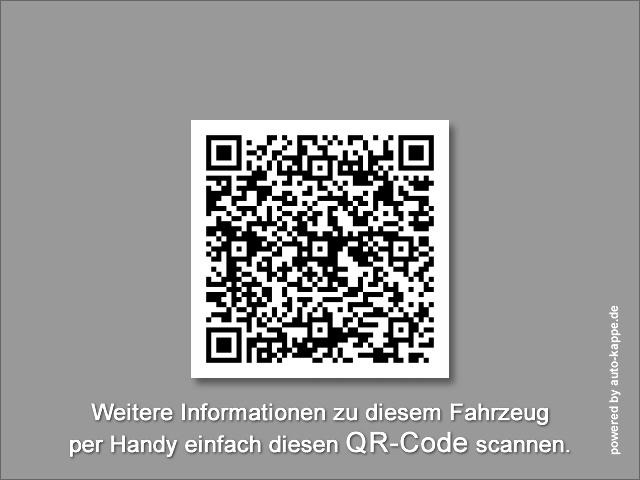 Furgoneta pequeña Renault Kangoo Van Kasten L1H1 TCe 1.3i KLIMA PDC TEMPOMAT: foto 18