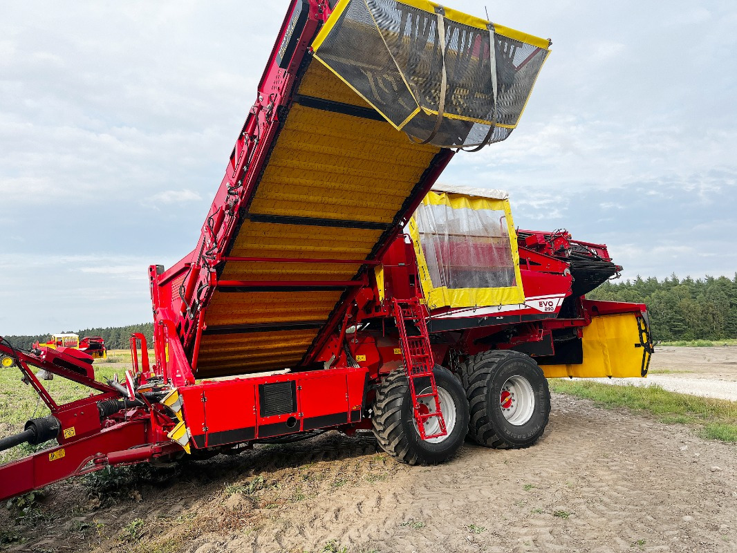 Cosechadora Grimme EVO 290 ClodSep: foto 26