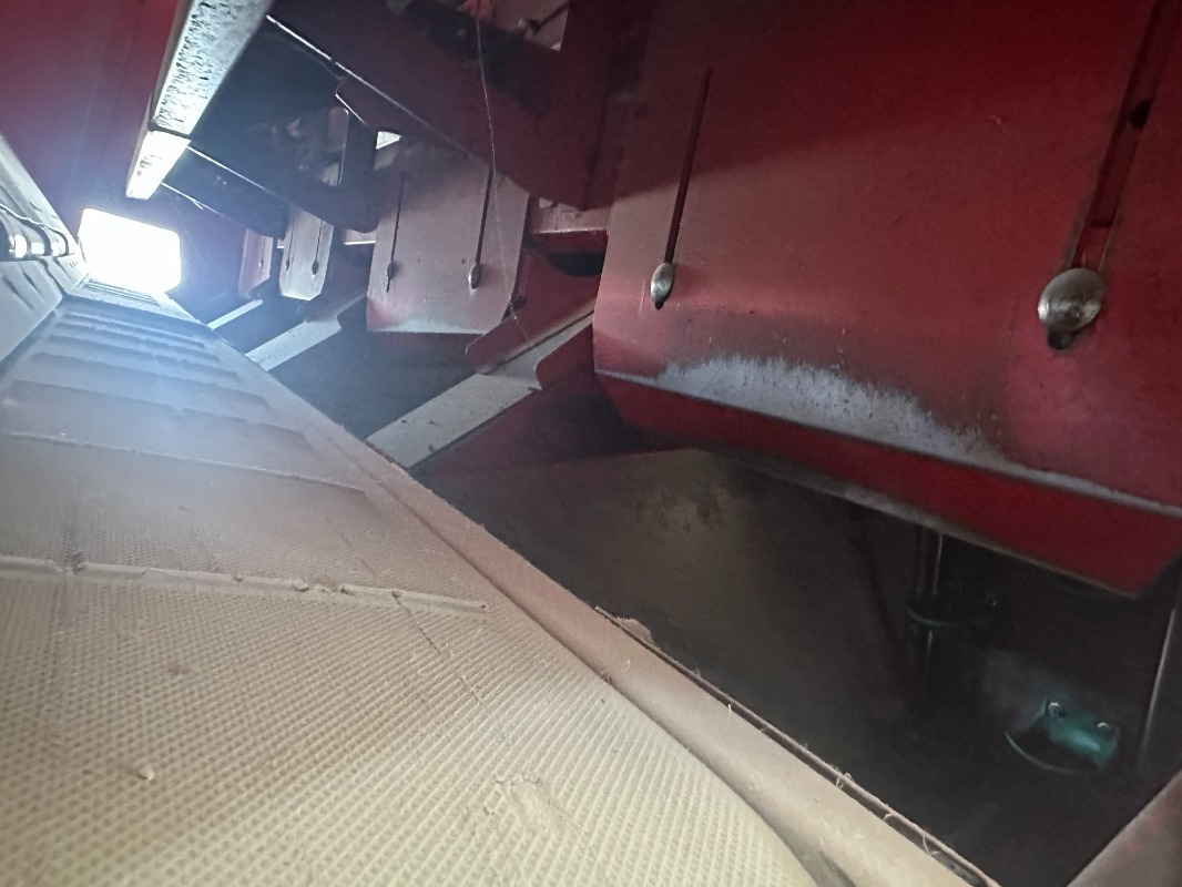 Grimme GL-860 Compacta - Cosechadora: foto 4 Grimme GL-860 Compacta - Cosechadora: foto 4