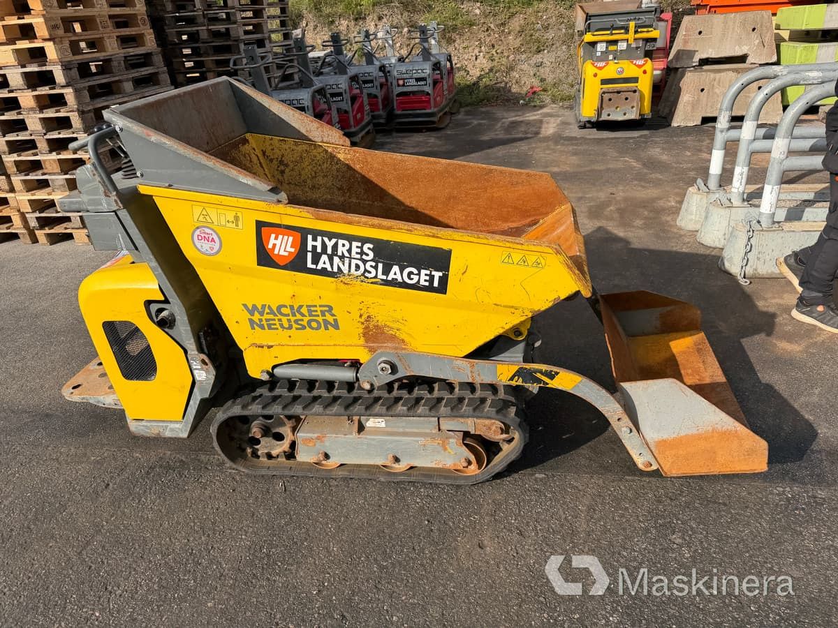 Banddumper Wacker Neuson DT08D - Dúmper de cadenas: foto 4 Banddumper Wacker Neuson DT08D - Dúmper de cadenas: foto 4