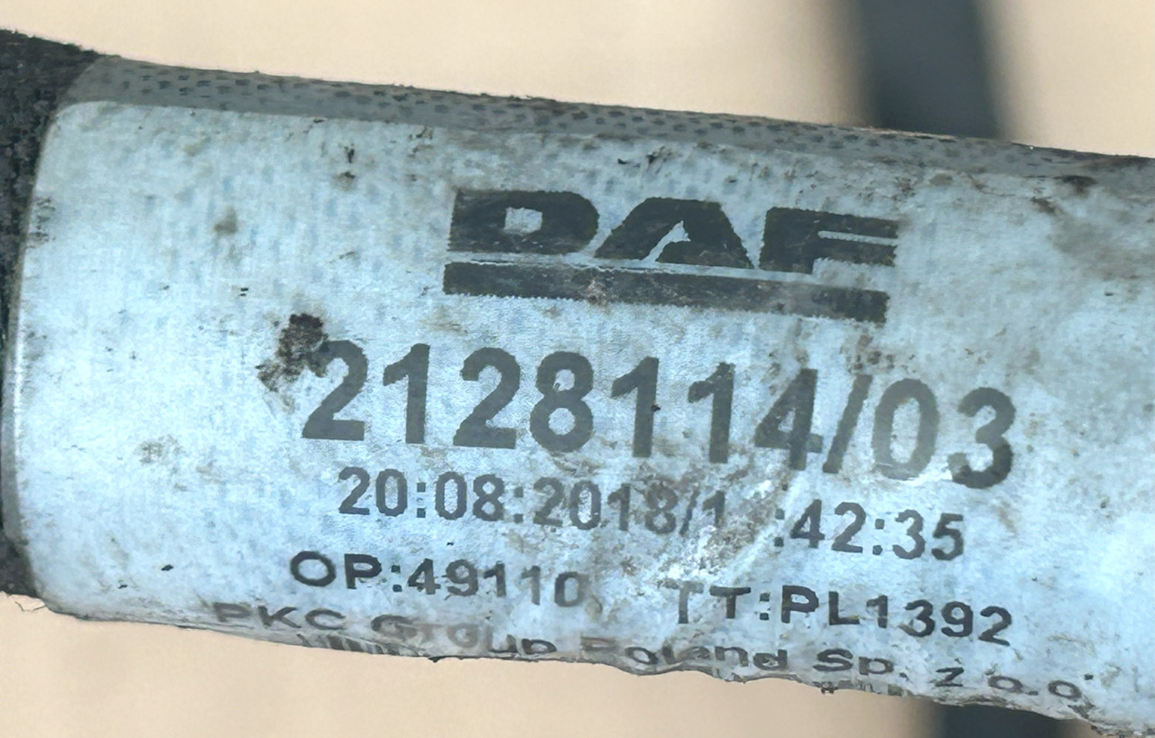 DAF XF 106 CHASSIS MAIN ELECTRICAL HARNESS - Cables/ Alambres: foto 5 DAF XF 106 CHASSIS MAIN ELECTRICAL HARNESS - Cables/ Alambres: foto 5