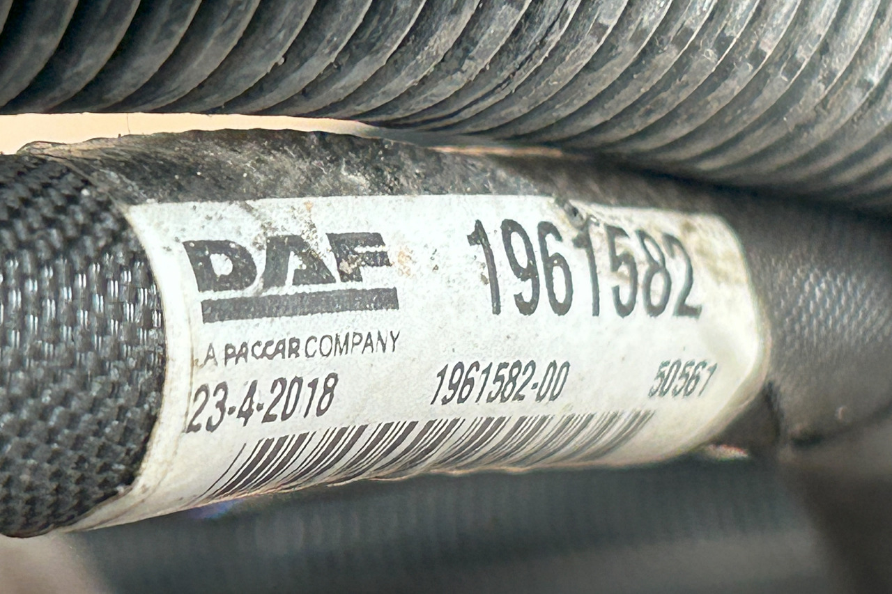 Cables/ Alambres DAF XF 106 ELECTRICAL HARNESS: foto 7