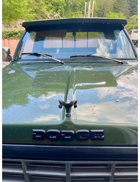 Pick-up Dodge Ram 150 Custom V8 Benzine: foto 11 Pick-up Dodge Ram 150 Custom V8 Benzine: foto 11