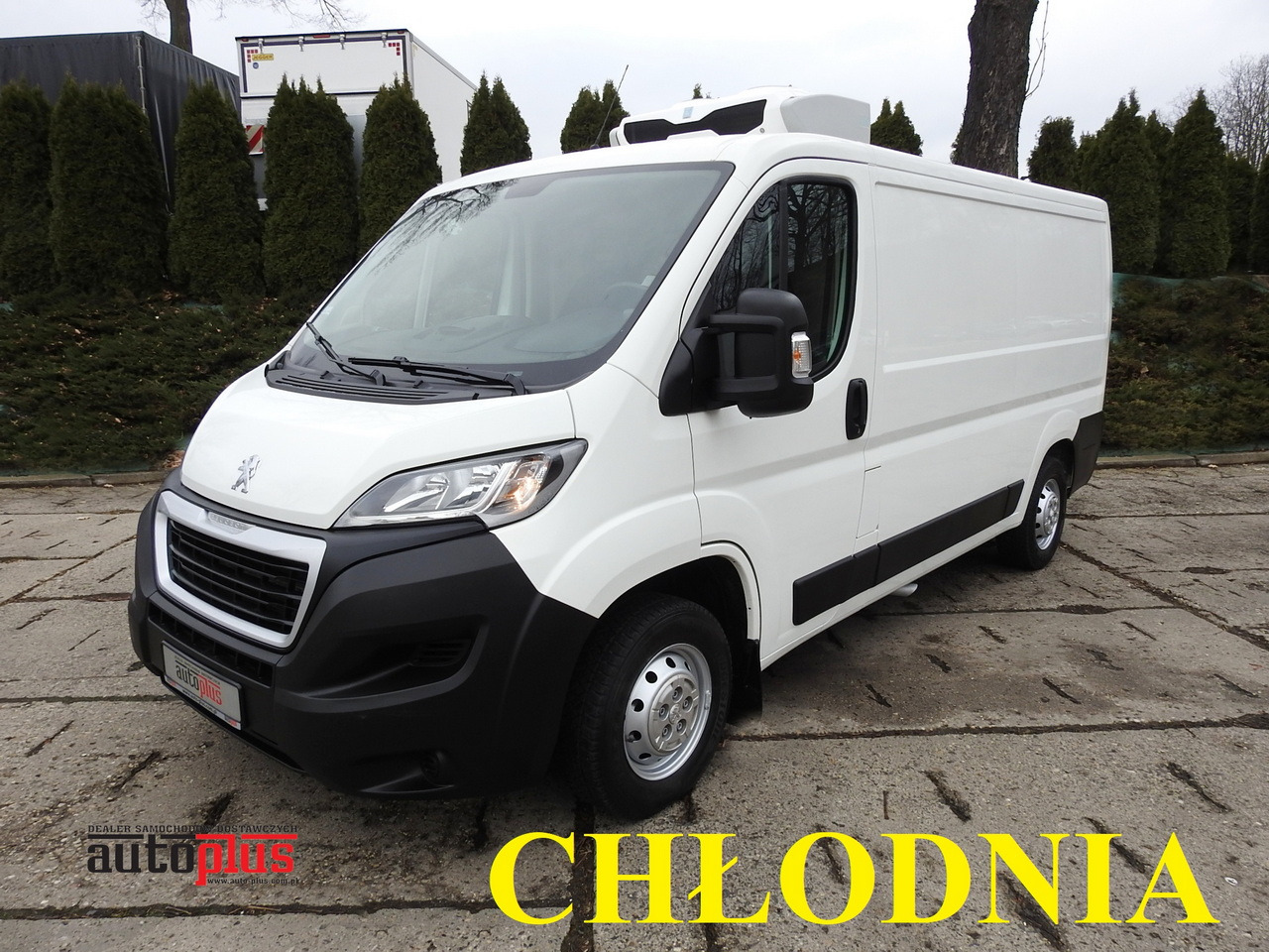 PEUGEOT BOXER REFRIGERATOR VAN -5*C TWO COMPARTMENTS CRUISE CONTROL AIR CONDITIONING 120HP - Furgoneta frigorifica: foto 1 PEUGEOT BOXER REFRIGERATOR VAN -5*C TWO COMPARTMENTS CRUISE CONTROL AIR CONDITIONING 120HP - Furgoneta frigorifica: foto 1