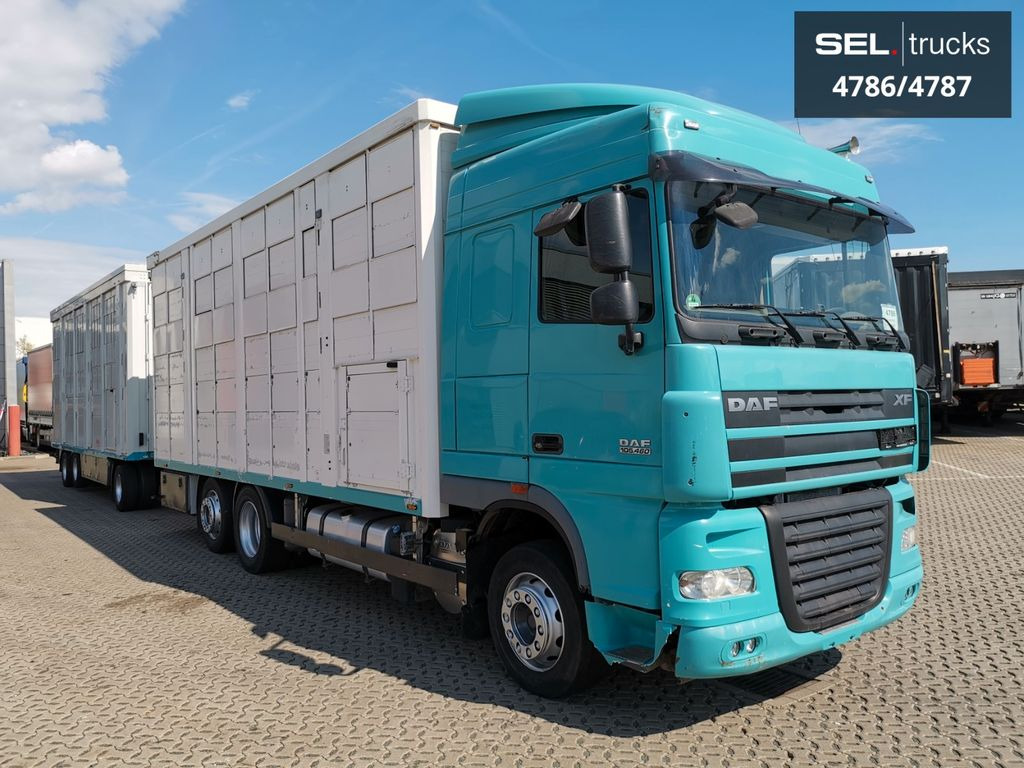 DAF XF 105.460 / Intarder / 4 Stock / KOMPLETT ! DAF XF 105.460 / Intarder / 4 Stock / KOMPLETT ! - Camión transporte de ganado: foto 4 DAF XF 105.460 / Intarder / 4 Stock / KOMPLETT ! DAF XF 105.460 / Intarder / 4 Stock / KOMPLETT ! - Camión transporte de ganado: foto 4