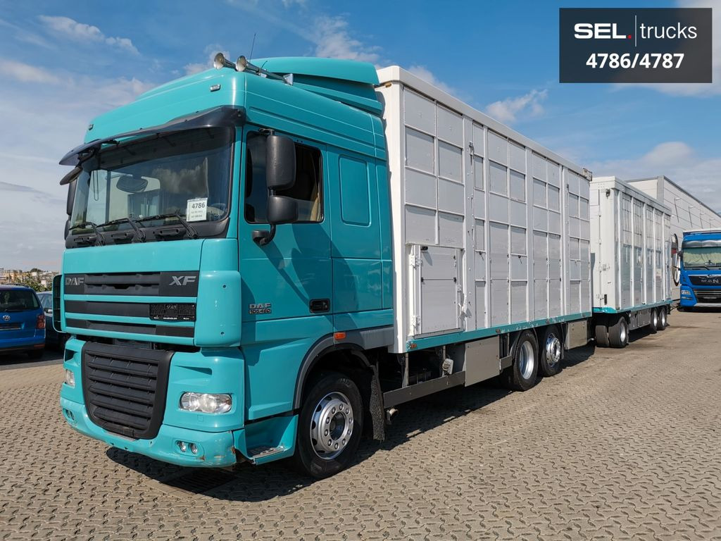 DAF XF 105.460 / Intarder / 4 Stock / KOMPLETT ! DAF XF 105.460 / Intarder / 4 Stock / KOMPLETT ! - Camión transporte de ganado: foto 2 DAF XF 105.460 / Intarder / 4 Stock / KOMPLETT ! DAF XF 105.460 / Intarder / 4 Stock / KOMPLETT ! - Camión transporte de ganado: foto 2