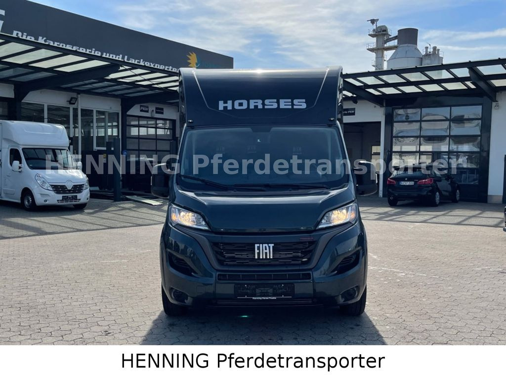 Fiat Ducato 3 - Sitzer *VORFÜHRUNGSFAHRZEUG* - Camión para caballos: foto 2 Fiat Ducato 3 - Sitzer *VORFÜHRUNGSFAHRZEUG* - Camión para caballos: foto 2