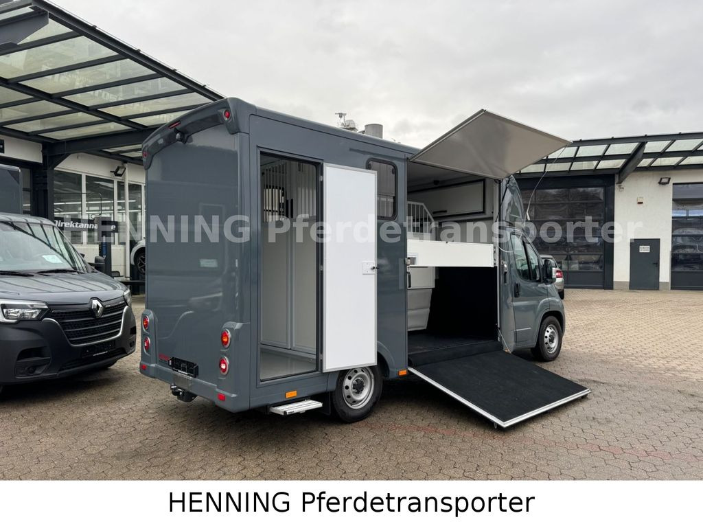Fiat Ducato *NEUWAGEN* ca.1100 kg Nutzlast - Camión para caballos: foto 3 Fiat Ducato *NEUWAGEN* ca.1100 kg Nutzlast - Camión para caballos: foto 3