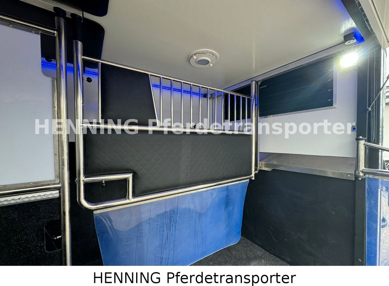 Renault Master 3 - Sitzer *NEUES MODELL* - Camión transporte de ganado: foto 5 Renault Master 3 - Sitzer *NEUES MODELL* - Camión transporte de ganado: foto 5