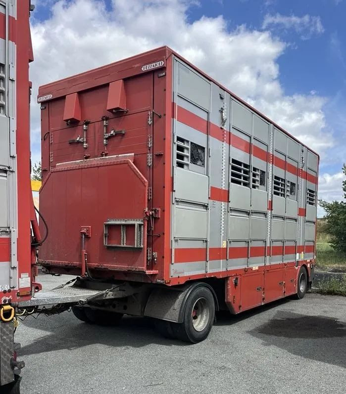DAF XF 460 + Przyczepa Pezzaoli - 3X Trzoda, 2 X Bydło I 3 poziomy I Podnoszony dach I Hydroburta I Osie Skrętne I Poidła I Wentylatory I Pilot Manualny | Euro5 - Camión transporte de ganado: foto 4 DAF XF 460 + Przyczepa Pezzaoli - 3X Trzoda, 2 X Bydło I 3 poziomy I Podnoszony dach I Hydroburta I Osie Skrętne I Poidła I Wentylatory I Pilot Manualny | Euro5 - Camión transporte de ganado: foto 4