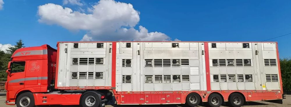 Pezzaioli 2017 / 3 POZIOMY / TRANSPORT ZWIERZĄT / HYDRAULIKA / STEROWANIE PILOTEM/ PODNOSZONY DACH / - Semirremolque transporte de ganado: foto 2 Pezzaioli 2017 / 3 POZIOMY / TRANSPORT ZWIERZĄT / HYDRAULIKA / STEROWANIE PILOTEM/ PODNOSZONY DACH / - Semirremolque transporte de ganado: foto 2