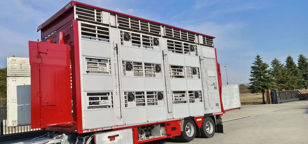 Pezzaioli RBA 32/TRZYOSIOWA PRZYCZEPA-2XBYDŁO,3X TRZODA - Remolque transporte de ganado: foto 3 Pezzaioli RBA 32/TRZYOSIOWA PRZYCZEPA-2XBYDŁO,3X TRZODA - Remolque transporte de ganado: foto 3