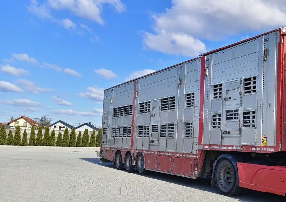 Pezzaioli SBA32/hydrauliczny dach/hydrauliczna rampa/ 3 poziomy/ 2xbydło -3xtrzoda/wentylatory/poidła/sterowanie pilotem - Semirremolque transporte de ganado: foto 1 Pezzaioli SBA32/hydrauliczny dach/hydrauliczna rampa/ 3 poziomy/ 2xbydło -3xtrzoda/wentylatory/poidła/sterowanie pilotem - Semirremolque transporte de ganado: foto 1