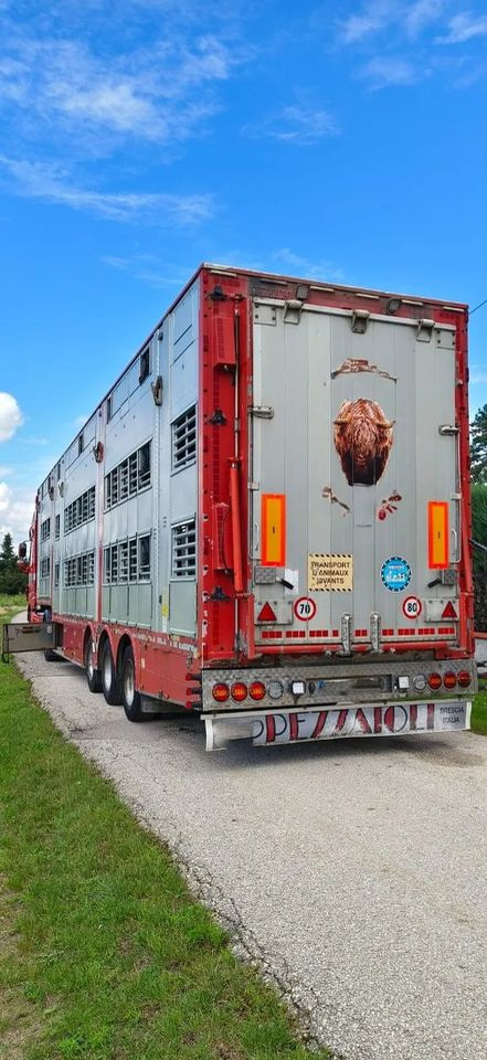 Pezzaioli SBA32/hydrauliczny dach/hydrauliczna rampa/ 3 poziomy/ 2xbydło -3xtrzoda/wentylatory/poidła/sterowanie pilotem - Semirremolque transporte de ganado: foto 5 Pezzaioli SBA32/hydrauliczny dach/hydrauliczna rampa/ 3 poziomy/ 2xbydło -3xtrzoda/wentylatory/poidła/sterowanie pilotem - Semirremolque transporte de ganado: foto 5