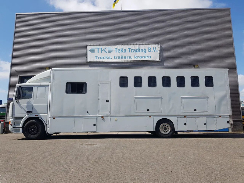 DAF 95.350 Paardenwagen met zitverblijf 7 paarden 7 horses - Camión para caballos: foto 3 DAF 95.350 Paardenwagen met zitverblijf 7 paarden 7 horses - Camión para caballos: foto 3