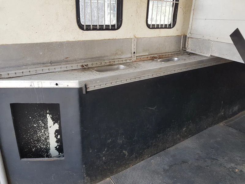 Camión para caballos DAF 95.350 Paardenwagen met zitverblijf 7 paarden 7 horses: foto 8