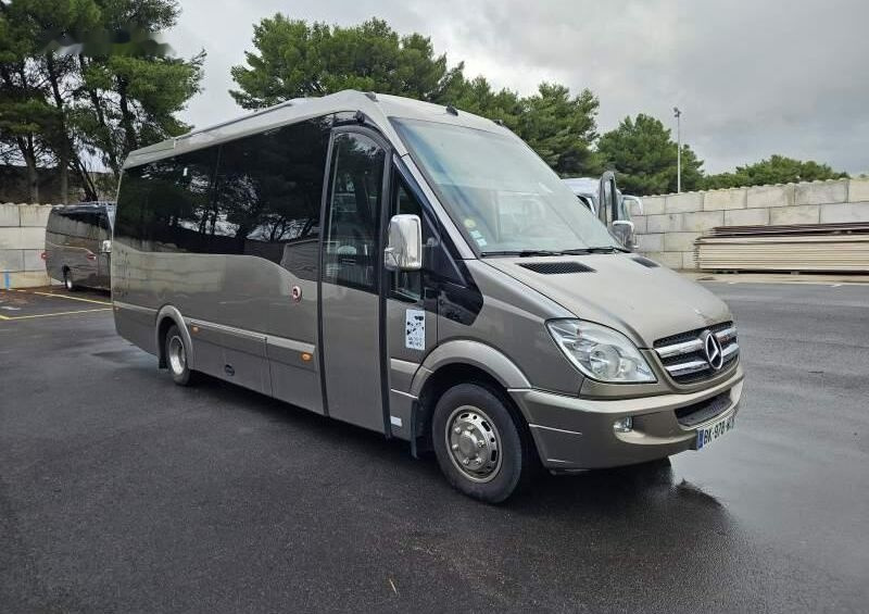 Minibús, Furgoneta de pasajeros Mercedes-Benz SPICA 519 3.0: foto 1