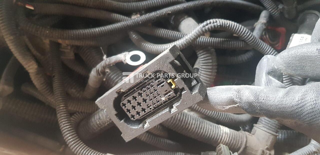Cables/ Alambres para Camión VOLVO FH4 euro6, RENAULT RAGE / GAMA cable harness, connectors, electric lines, electric cables FCIOM ,CCIOM, RCIOM 22046285, 21675272, 21675276, 21675305, 21675306, 21914997, 22163864, 21120361, 2230: foto 6