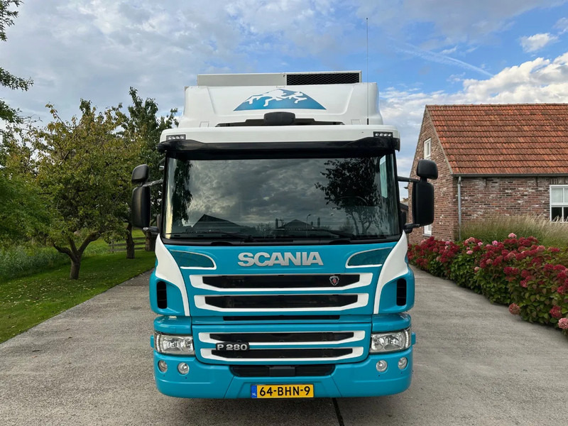 Scania P280 / NL TRUCK / FRIGOBLOCK FK 13(2019) / 2000kg LIFT / TOPCONDITION!! - Camión frigorífico: foto 3 Scania P280 / NL TRUCK / FRIGOBLOCK FK 13(2019) / 2000kg LIFT / TOPCONDITION!! - Camión frigorífico: foto 3