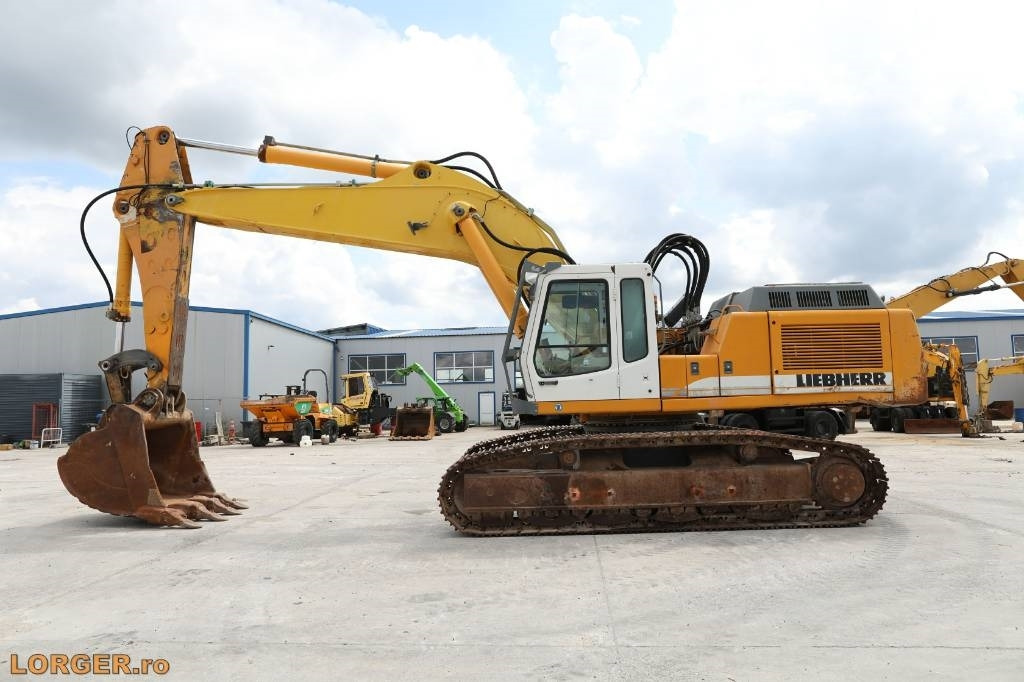 Excavadora de cadenas Liebherr R 954 B: foto 7
