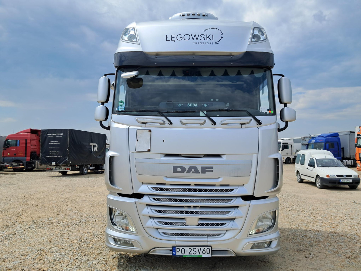 DAF XF 510 CIĄGNIK SIODŁOWY - Cabeza tractora: foto 3 DAF XF 510 CIĄGNIK SIODŁOWY - Cabeza tractora: foto 3