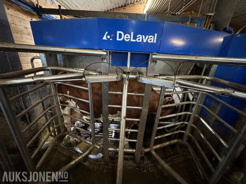 2013 DeLaval VMS melkerobot med 1 kraftfôrstasjon FSC40 - Høyre utgave - Steam - Innredning og grinder foran - Vakuumpumpe - Fortsatt i daglig drift - Maquinaria agrícola: foto 5 2013 DeLaval VMS melkerobot med 1 kraftfôrstasjon FSC40 - Høyre utgave - Steam - Innredning og grinder foran - Vakuumpumpe - Fortsatt i daglig drift - Maquinaria agrícola: foto 5