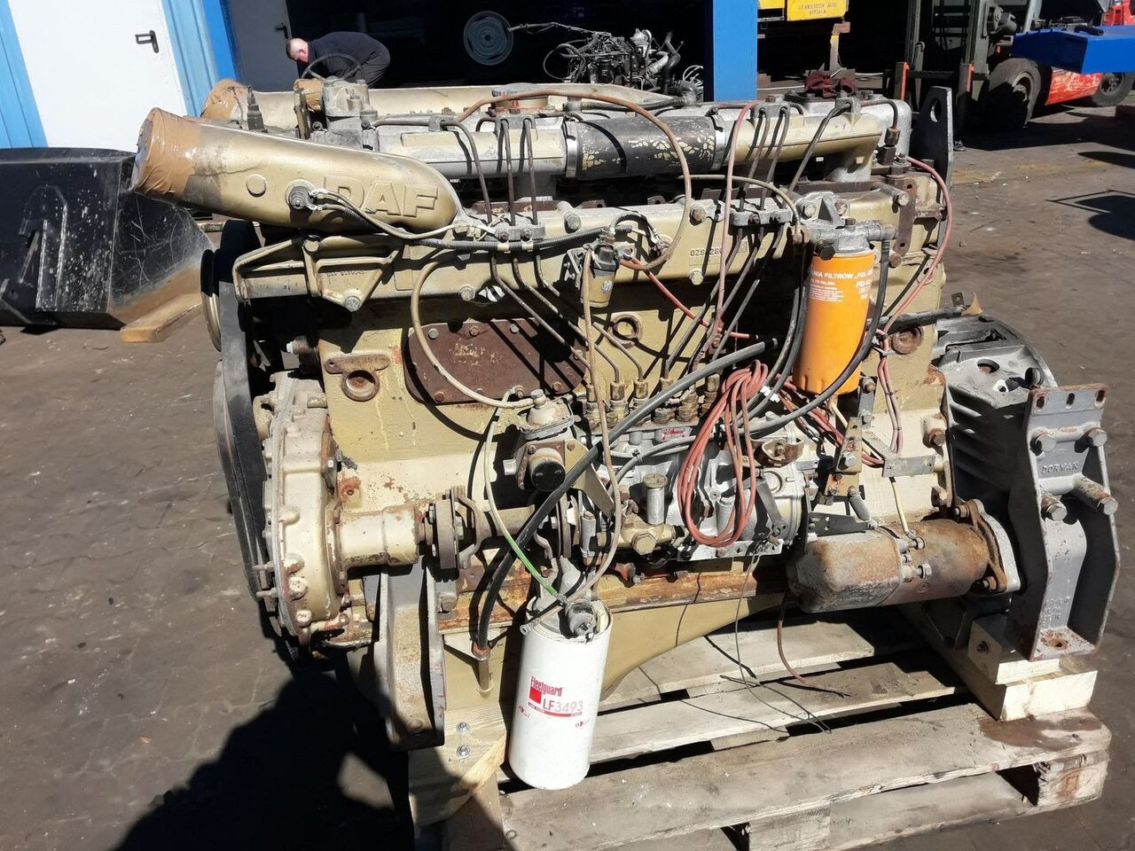 DAF WS282 ATI DAF 95 - Motor para Camión: foto 1 DAF WS282 ATI DAF 95 - Motor para Camión: foto 1