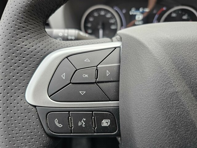 Leasing de IVECO Daily 35S18 3.0 Pritsche Plane Ladebordwand AHK IVECO Daily 35S18 3.0 Pritsche Plane Ladebordwand AHK: foto 30