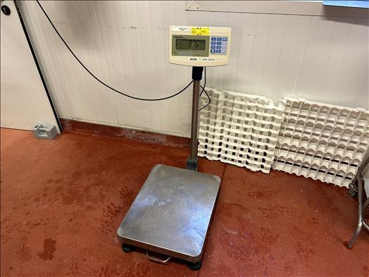 Precia Access Mini400 Platform scale - Maquinaria de alimentación: foto 1 Precia Access Mini400 Platform scale - Maquinaria de alimentación: foto 1