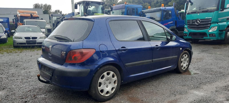 Peugeot 307 Grand Filou - Hatchback: foto 3 Peugeot 307 Grand Filou - Hatchback: foto 3