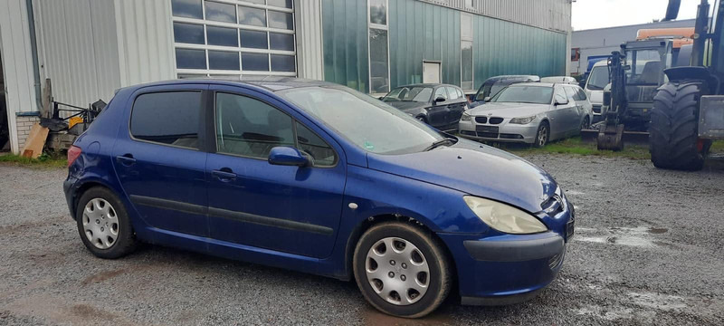 Peugeot 307 Grand Filou - Hatchback: foto 2 Peugeot 307 Grand Filou - Hatchback: foto 2