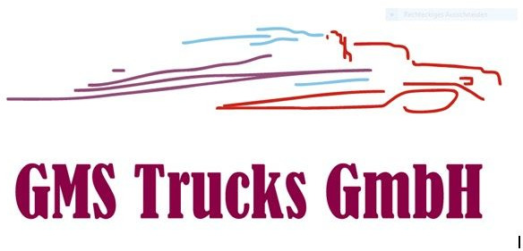 MAN TGS TGX Lenkgetriebe ZF Lenkung Steering - Caja de dirección para Camión: foto 5 MAN TGS TGX Lenkgetriebe ZF Lenkung Steering - Caja de dirección para Camión: foto 5