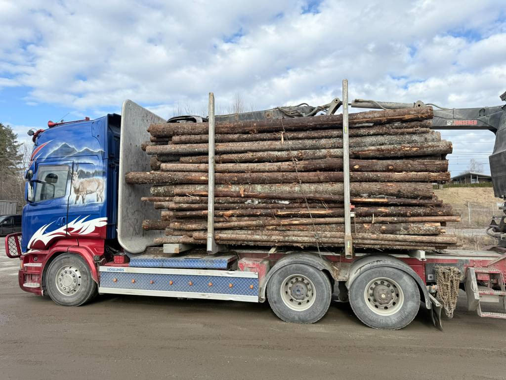 Camión forestal Scania R 730 6x4 Jonsered J1088S: foto 9
