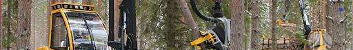 Procesadora forestal nuevo SAMPO ROSENLEW HR46X: foto 18